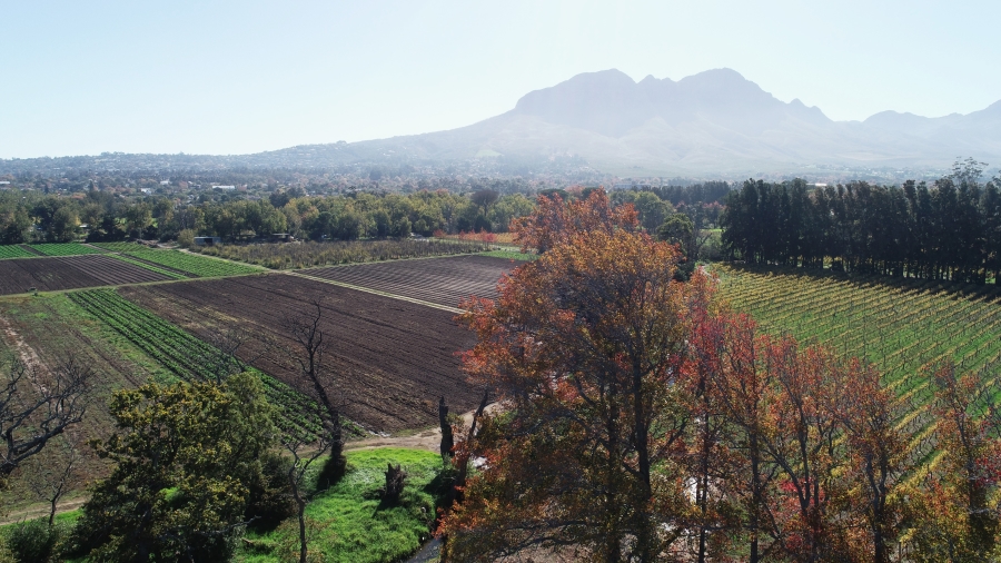 5 Bedroom Property for Sale in Stellenbosch Farms Western Cape